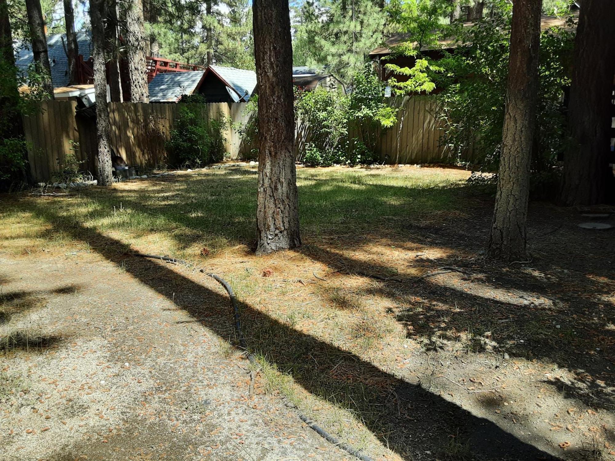 Bearadise - Prime Location For A Family Getaway In The Winter Or Summer Big Bear City Esterno foto